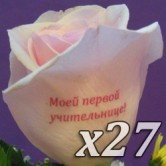 Двадцать семь роз с надписью